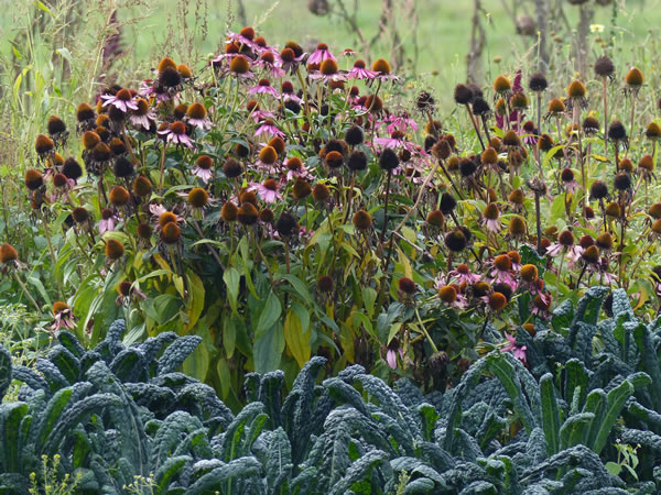 om de tuin