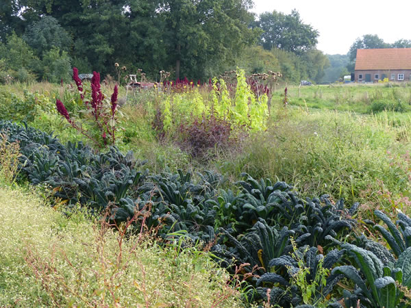 om de tuin